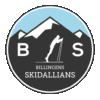 Logga Billingens skidallians
